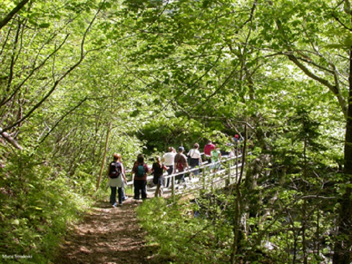 corney brook 2.jpg
